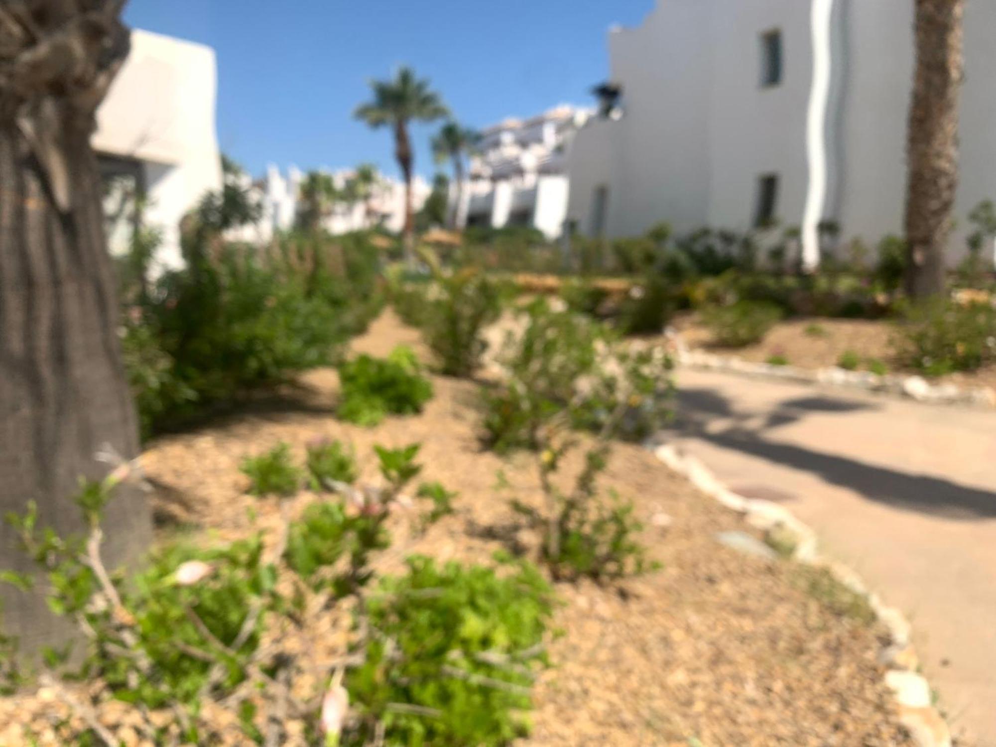 Apartamento Las Salinas 1389 เบรา ภายนอก รูปภาพ